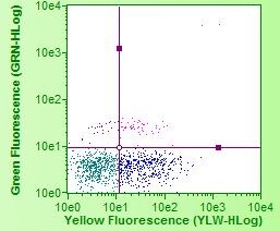 Lightning-Link (R) R-PE Antibody Labeling Kit 703-0030