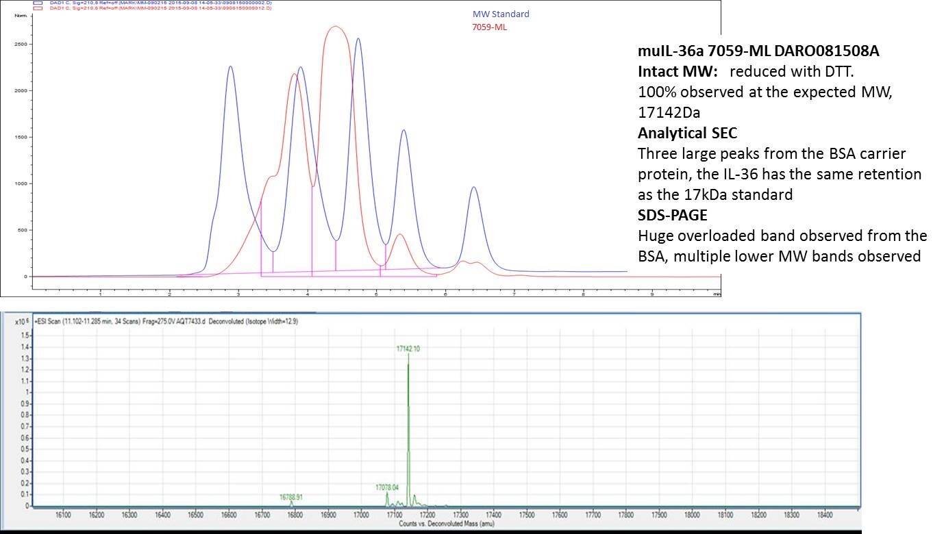 Recombinant Mouse IL-36 alpha/IL-1F6 (aa 8-160) Protein 7059-ML
