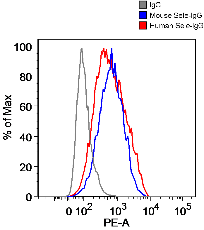 Recombinant Human E-Selectin/CD62E Fc Chimera Protein, CF 724-ES