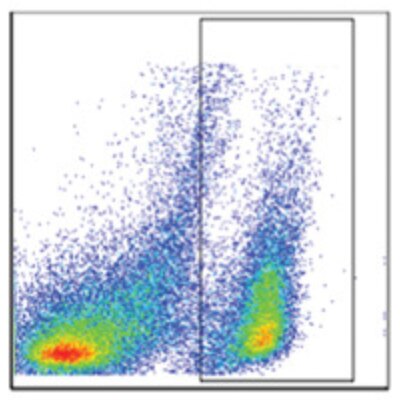 SCOTfluor lactic acid probe 510 7448