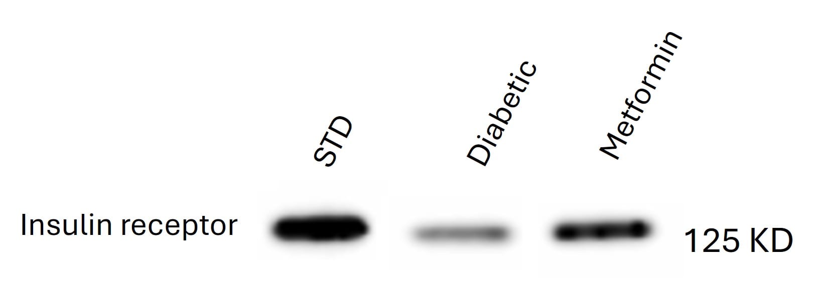 Recombinant Mouse Insulin R/CD220 Protein, CF 7544-MR