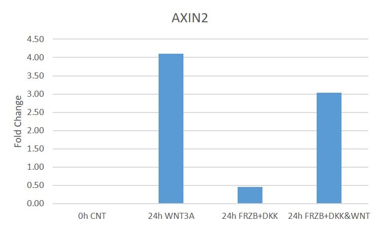 Recombinant Human sFRP-3 Protein 7584-SF