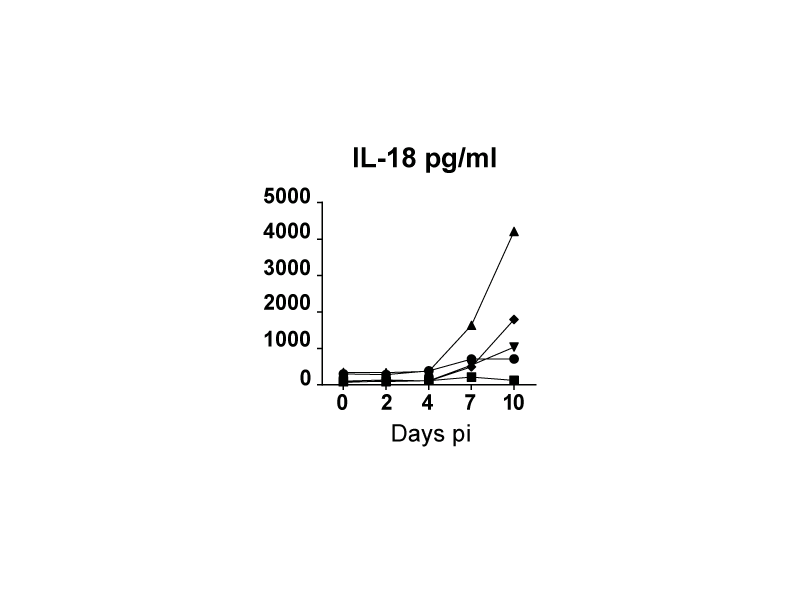 Mouse IL-18/IL-1F4 ELISA 7625