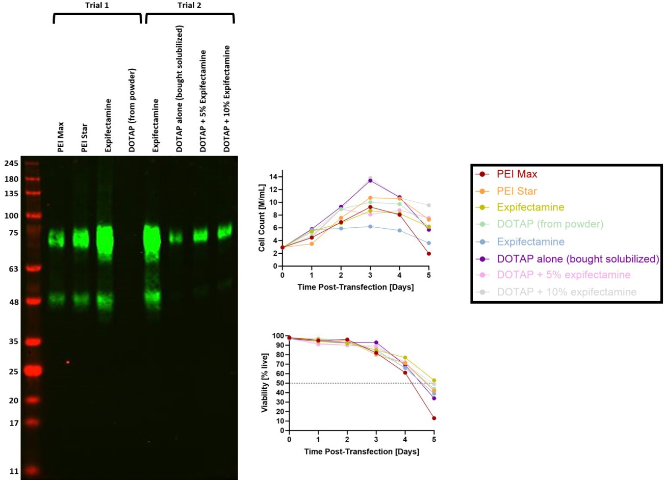 PEI STAR™ transfection reagent 7854