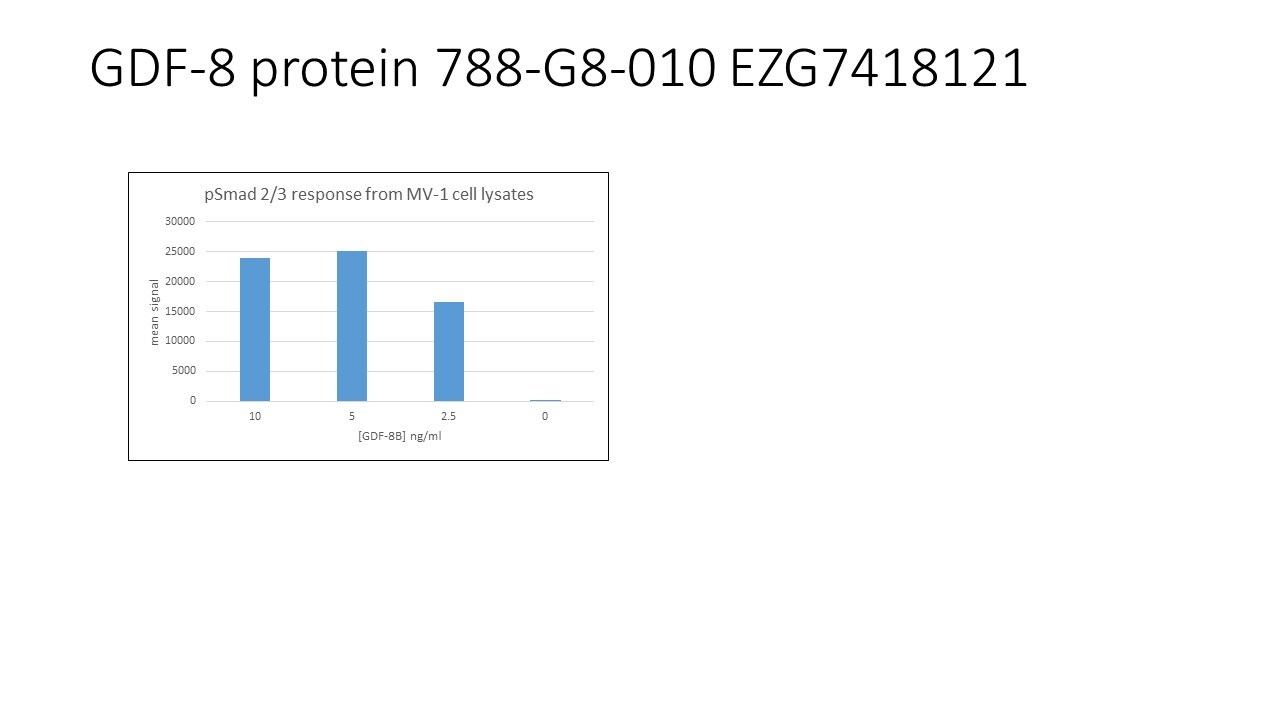 Recombinant Human/Mouse/Rat GDF-8/Myostatin Protein 788-G8