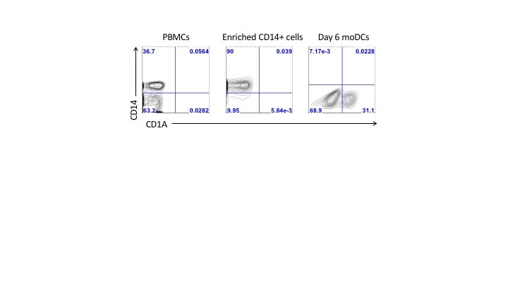 Recombinant Human GM-CSF (CHO-expressed) Protein 7954-GM