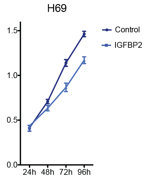 Recombinant Mouse IGFBP-2 Protein, CF 797-B2