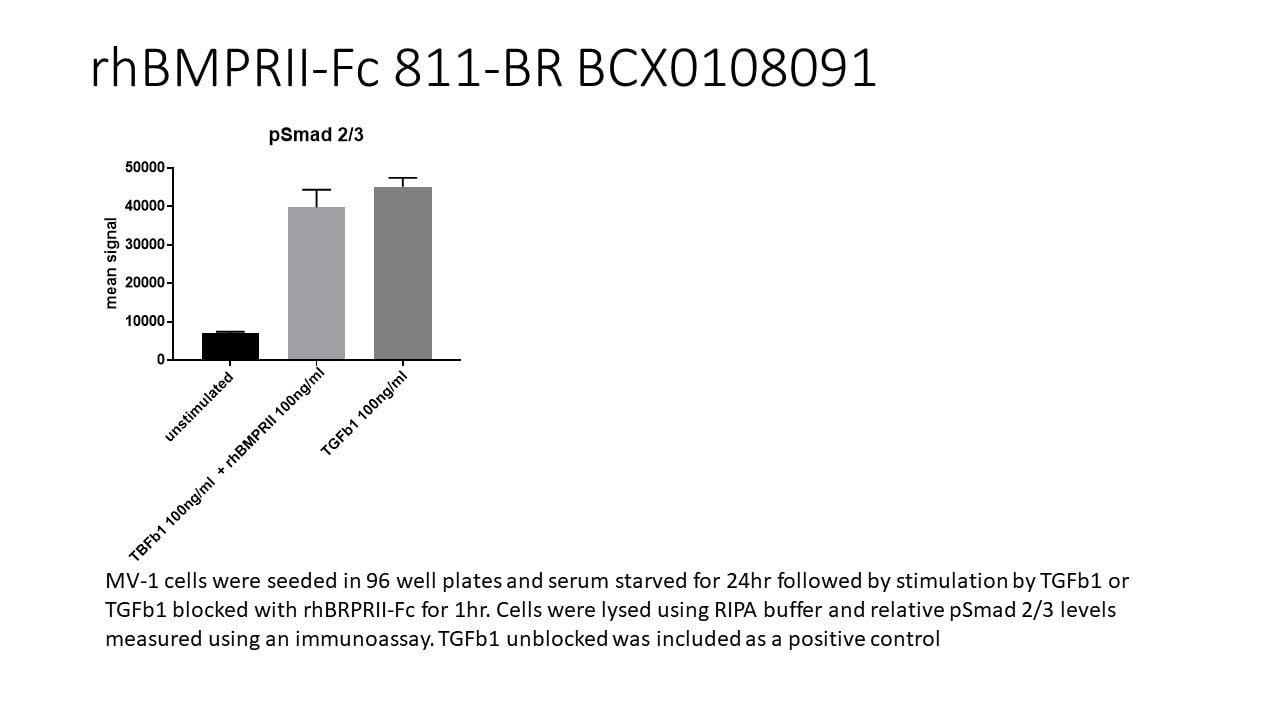 Recombinant Human/Mouse BMPR-II Fc Chimera Protein, CF 811-BR