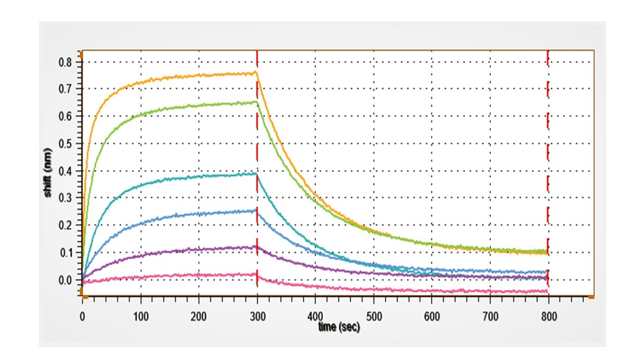 Recombinant Human LILRB2/CD85d/ILT4 His-tag Protein, CF 8429-T4