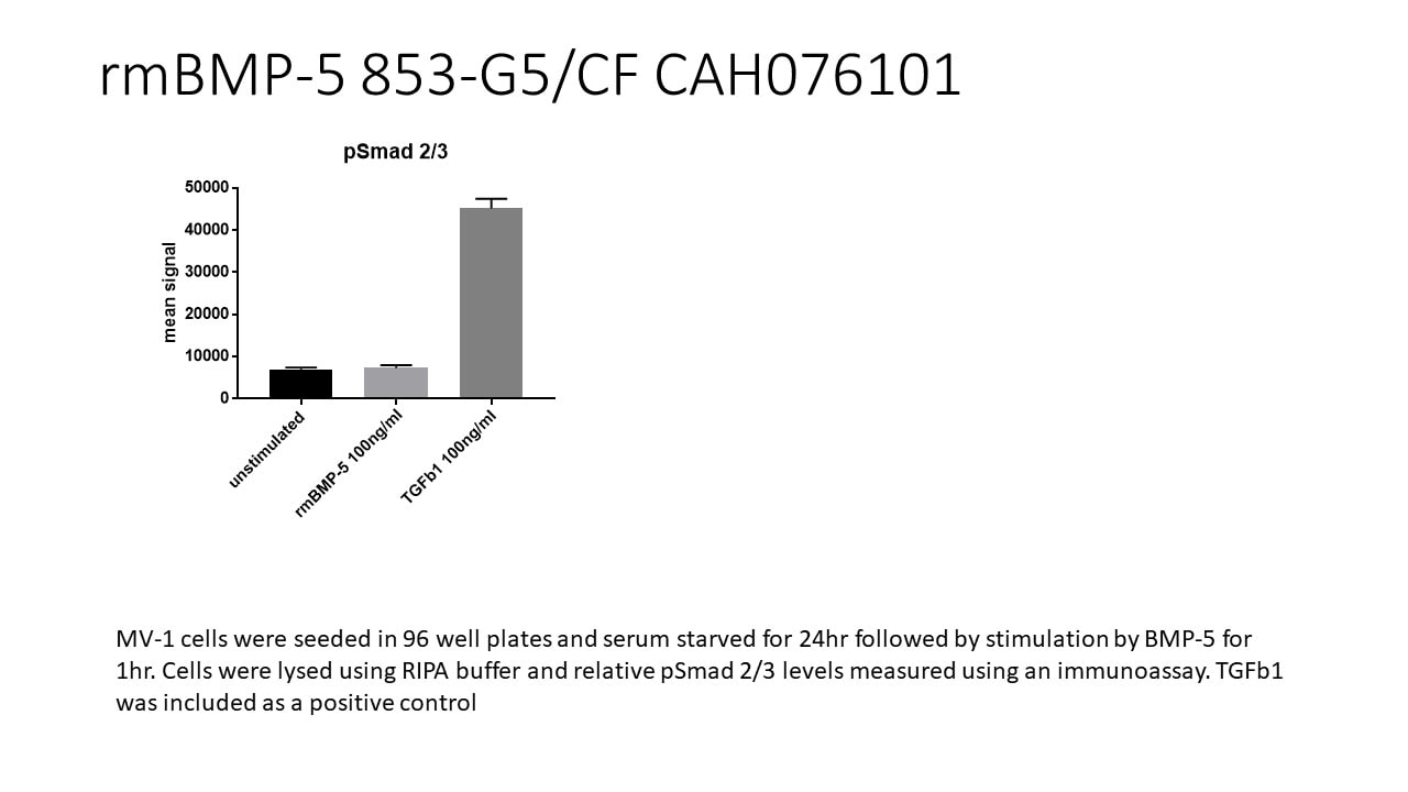Recombinant Mouse GDF-5 Protein 853-G5