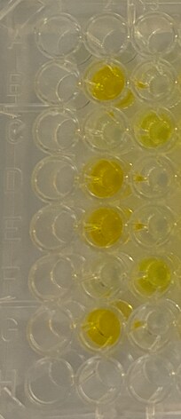 Recombinant Human Neogenin His Tagged Protein, CF 8607-NE
