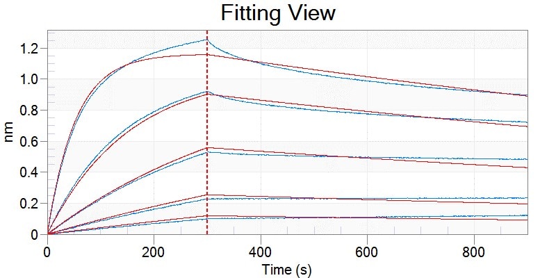 Recombinant Human FCRN Protein, CF 8639-FC