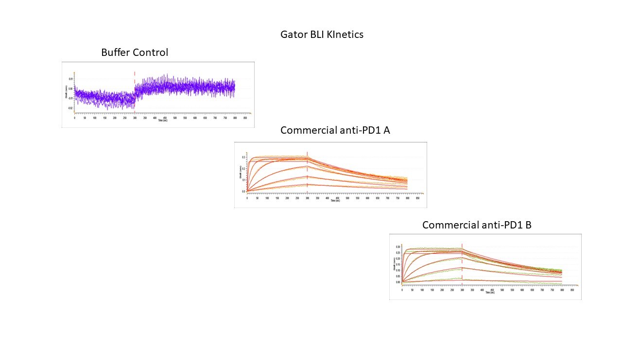 Recombinant Human PD-1 His Tagged Protein, CF 8986-PD