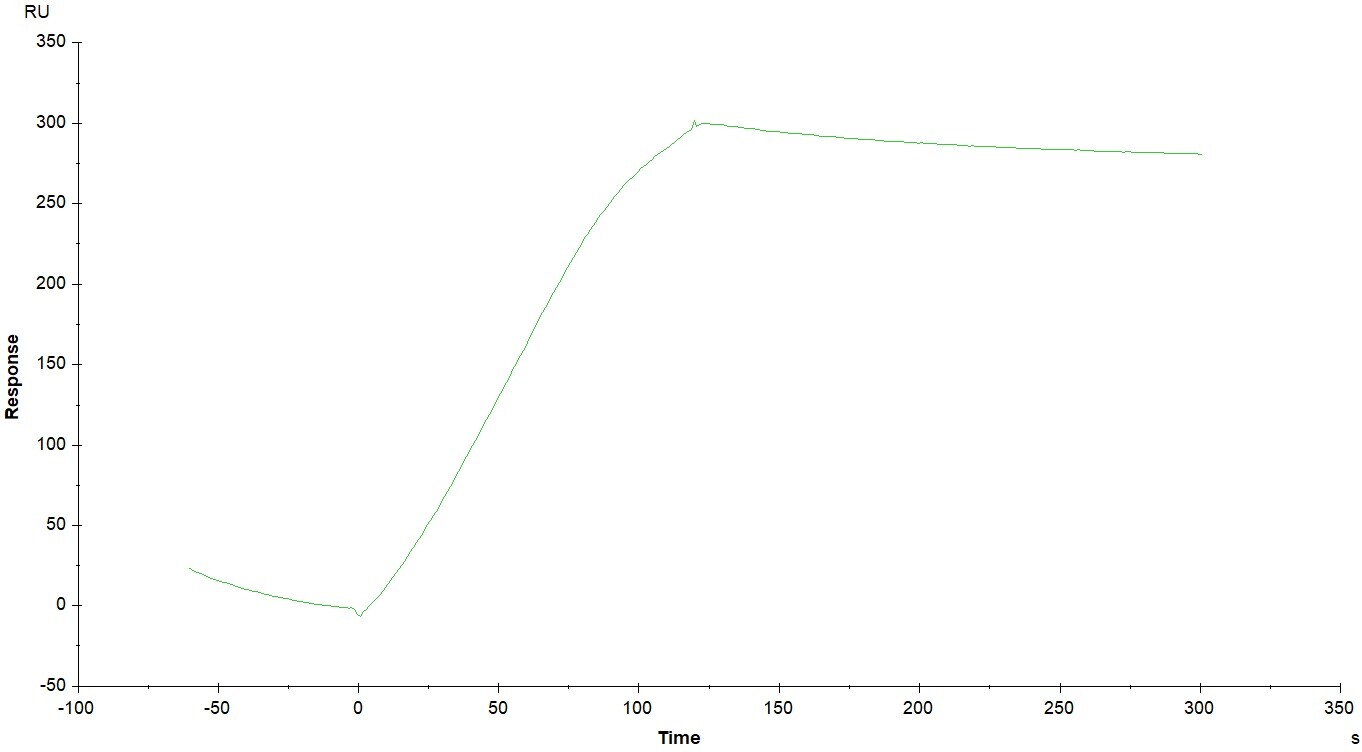 Recombinant Mouse PD-L1/B7-H1 His-tag Protein, CF 9048-B7