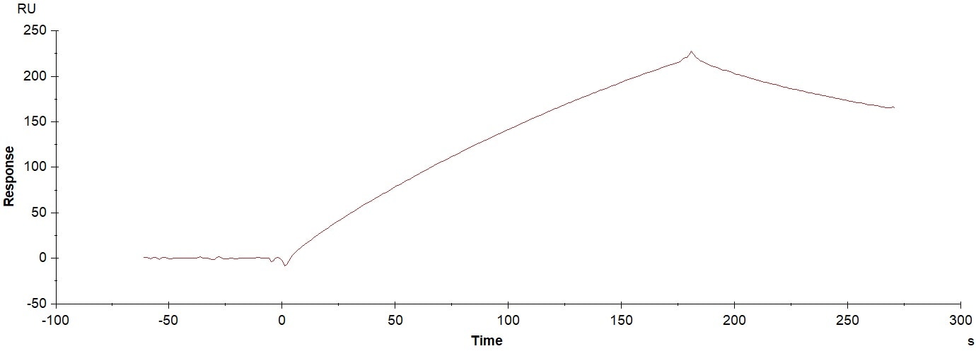 Recombinant Human PD-L1/B7-H1 His-tag Protein, CF 9049-B7