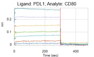 Recombinant Human B7-1/CD80 His-tag Protein, CF 9050-B1