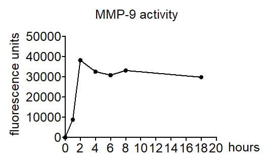 Recombinant Mouse MMP-9 Protein, CF 909-MM