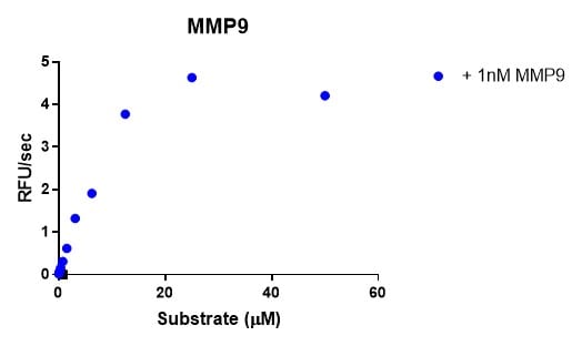 Recombinant Human MMP-9 Protein, CF 911-MP
