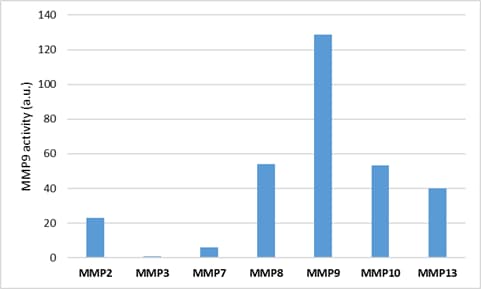 Recombinant Human MMP-9 Protein, CF 911-MP