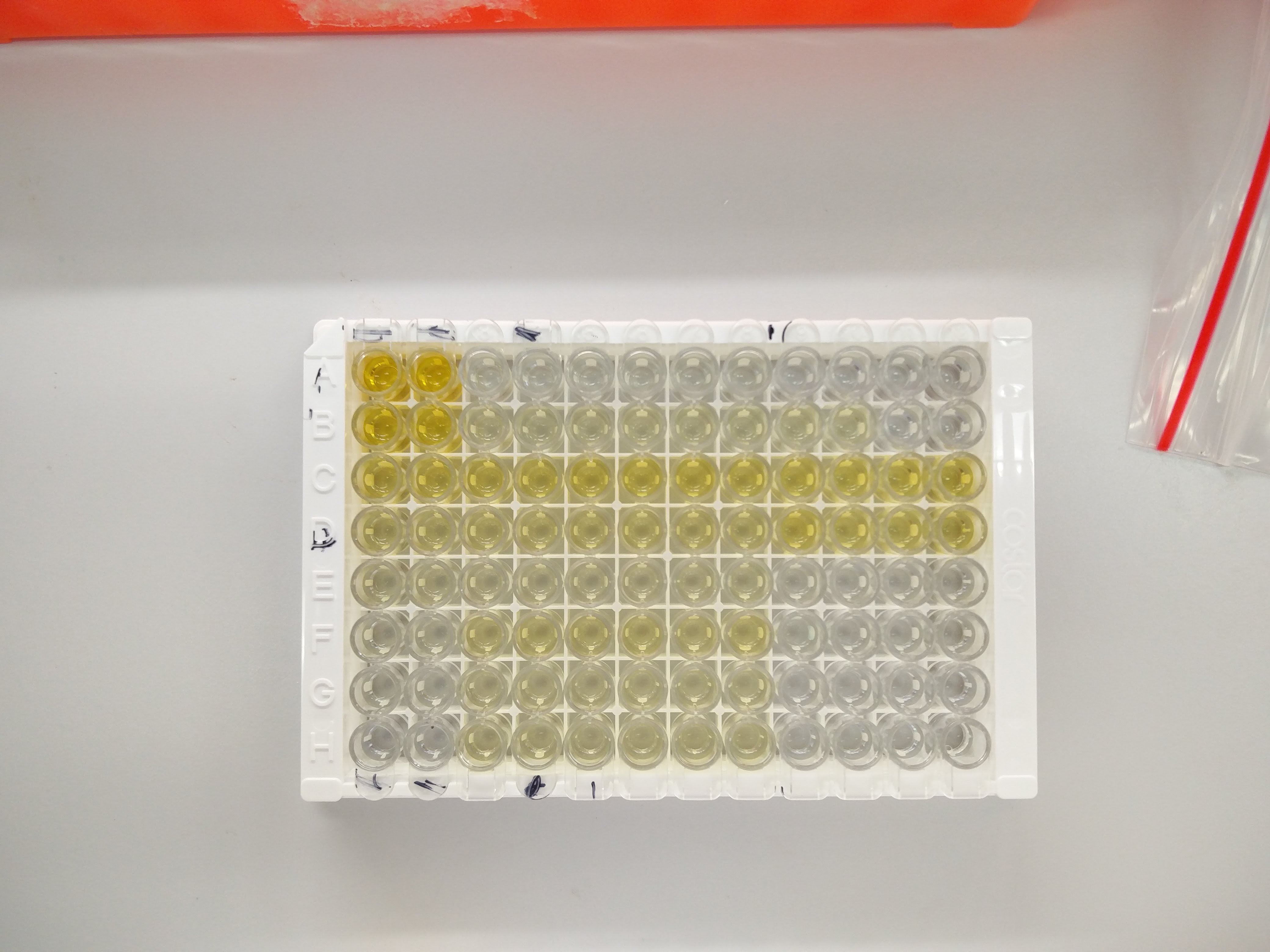 Recombinant Human IL-18/IL-1F4 Protein 9124-IL