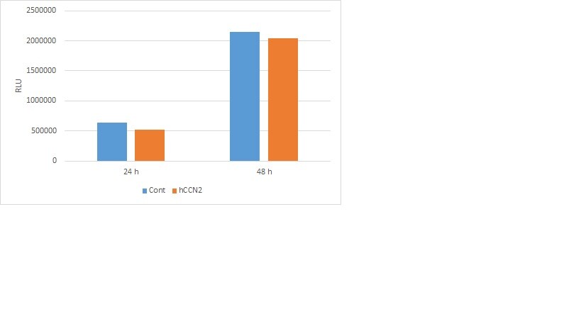 Recombinant Human CTGF/CCN2 Protein, CF 9190-CC