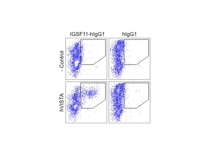 Recombinant Human VSIG3 Fc Chimera Protein, CF 9229-VS