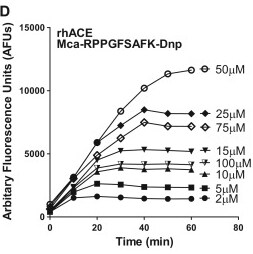 Recombinant Human ACE Protein, CF 929-ZN