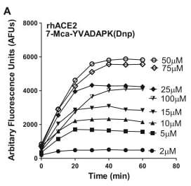 Recombinant Human ACE-2 Protein, CF 933-ZN