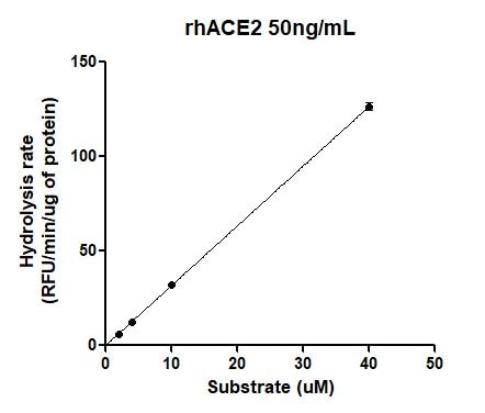 Recombinant Human ACE-2 Protein, CF 933-ZN