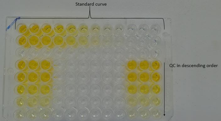 Recombinant Human OX40/TNFRSF4 His-tag Protein, CF 9969-OX