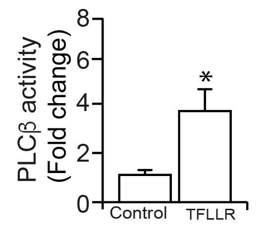 TFLLR-NH2 1464