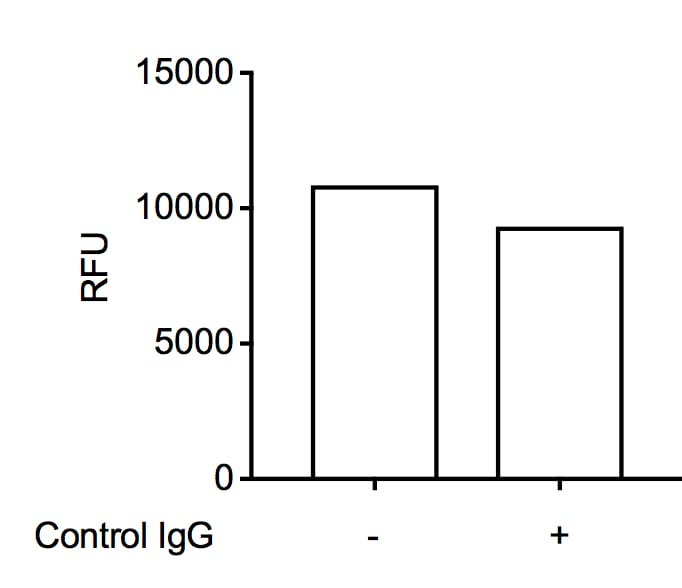 Normal Goat IgG Control AB-108-C
