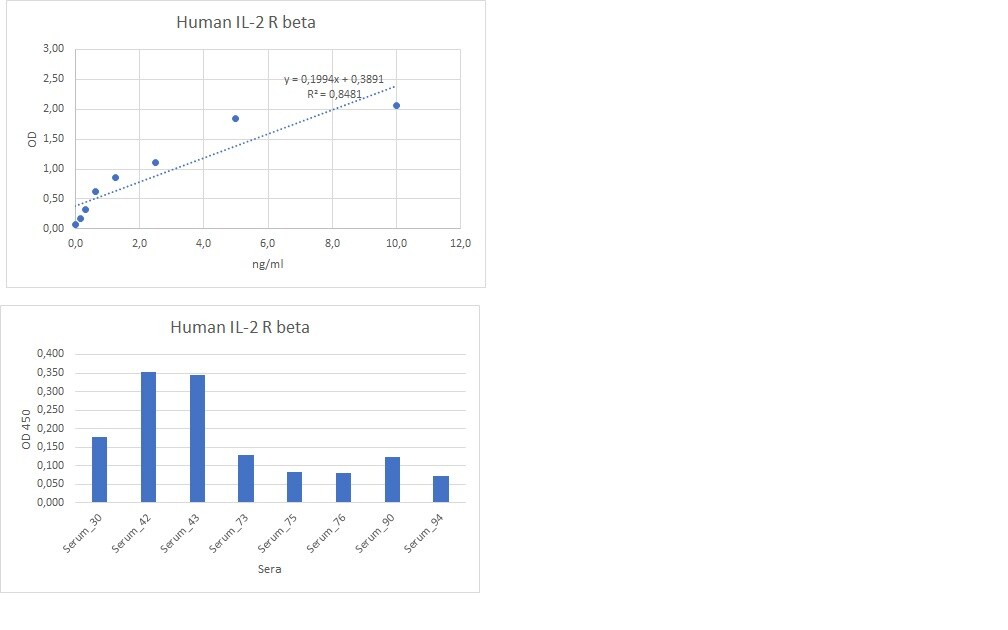 Human IL‑2 R beta  Antibody AF-224-NA