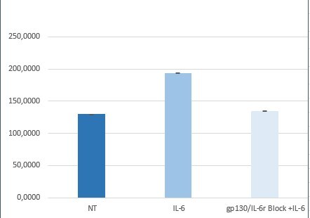 Human gp130 Antibody AF-228-NA