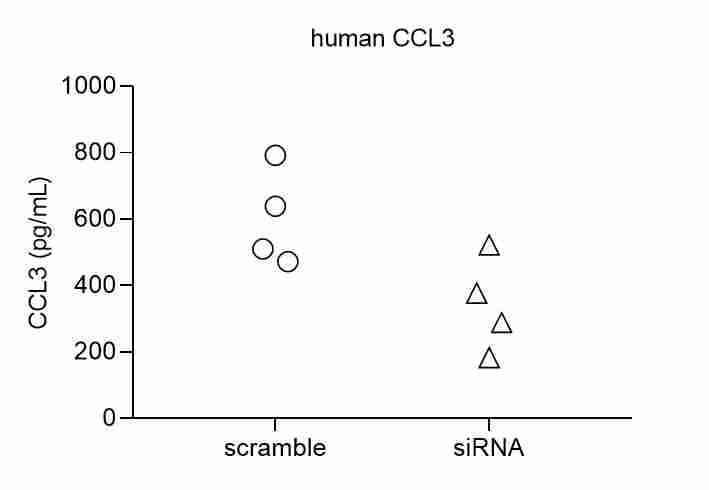 Human CCL3/MIP‑1 alpha  Antibody AF-270-NA
