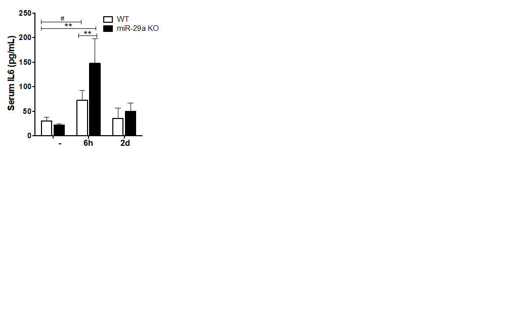 Mouse IL‑6 Antibody AF-406-NA