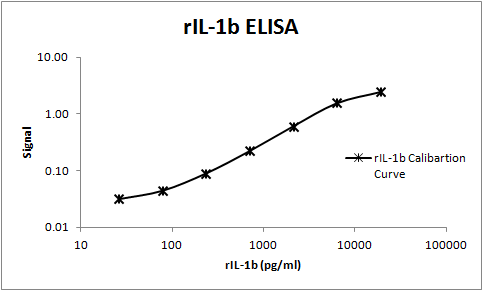 Rat IL‑1 beta /IL‑1F2 Antibody AF-501-NA