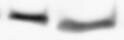 Mouse PD-L1/B7-H1 Antibody AF1019