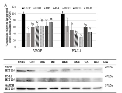 Mouse PD-L1/B7-H1 Antibody AF1019