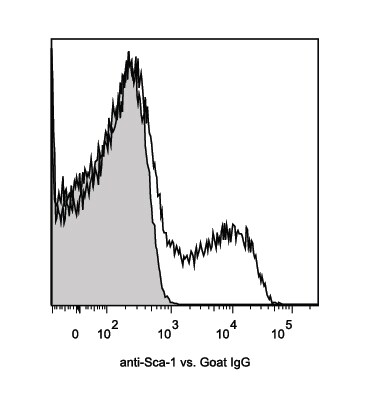 Mouse Sca‑1/Ly6 Antibody AF1226