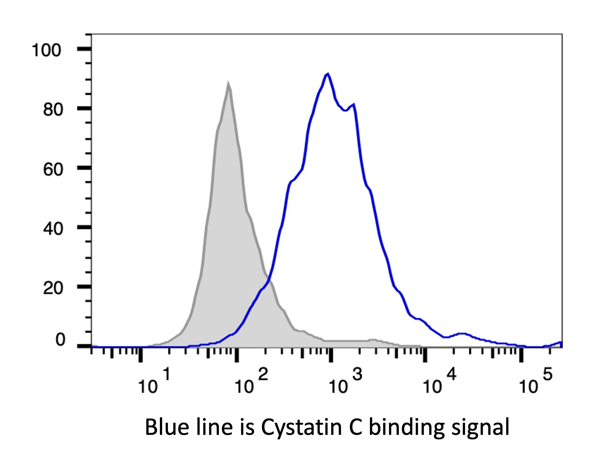 Mouse Cystatin C Antibody AF1238