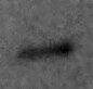 Mouse Galectin‑1 Antibody AF1245