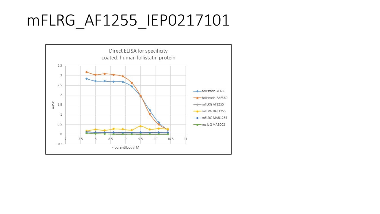 Mouse Follistatin-related Gene Protein/FLRG Antibody AF1255