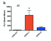 Human Serpin C1/Antithrombin‑III Antibody AF1267