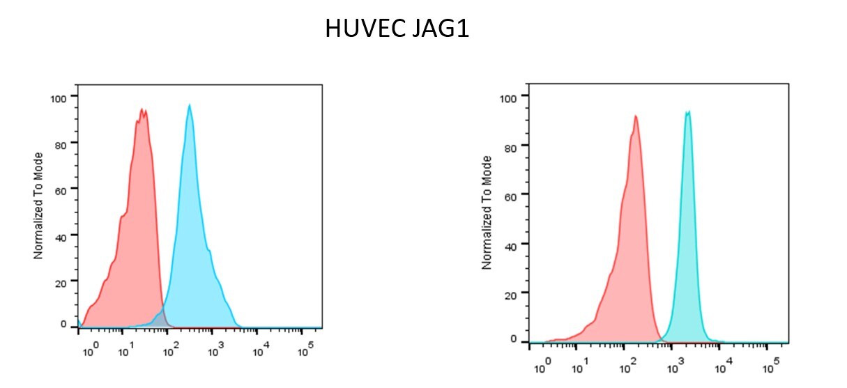 Human Jagged 1 Antibody AF1277