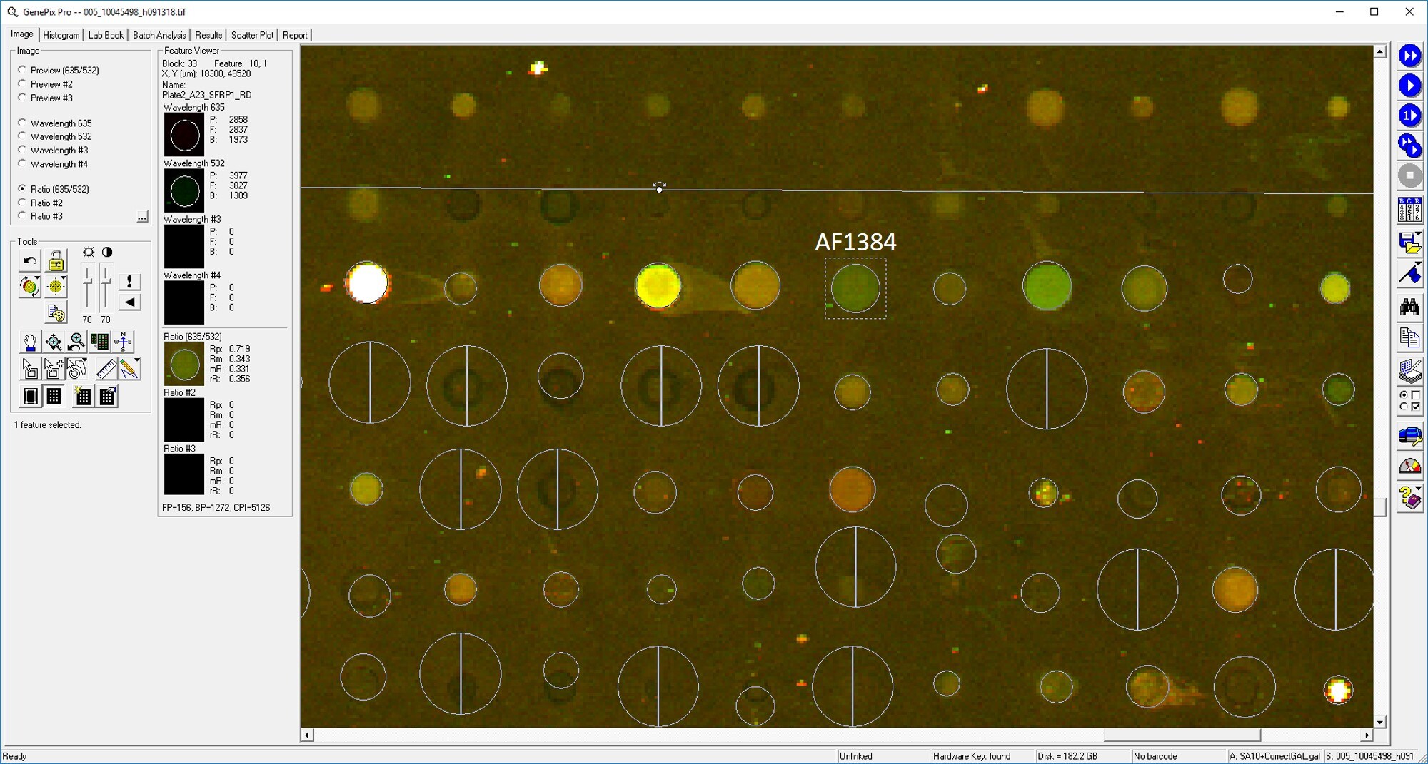 Human sFRP‑1 Antibody AF1384