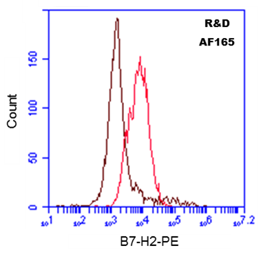 Human B7‑H2 Antibody AF165