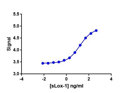 Human LOX‑1/OLR1 Antibody AF1798