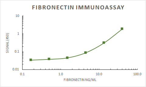 Human/Rat Fibronectin Antibody AF1918