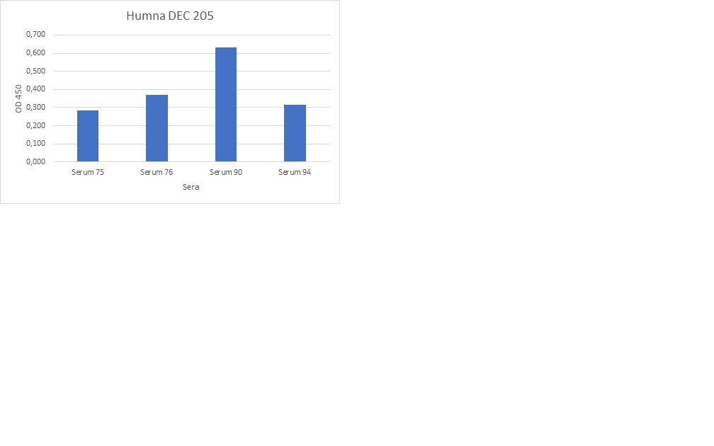Human DEC‑205/CD205 Antibody AF2047
